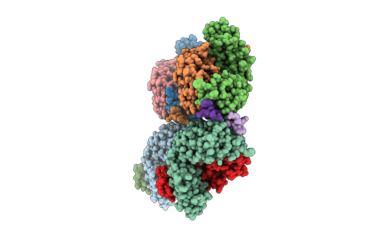 2FX8 image