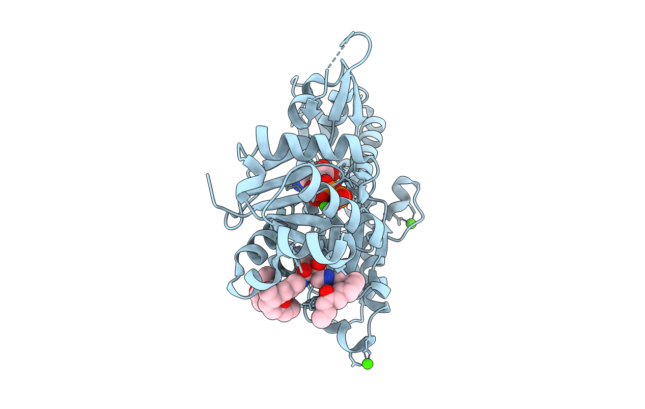 2FXU image