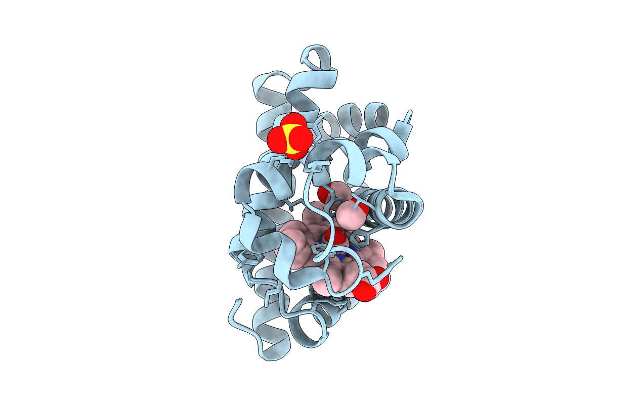 2G10 image