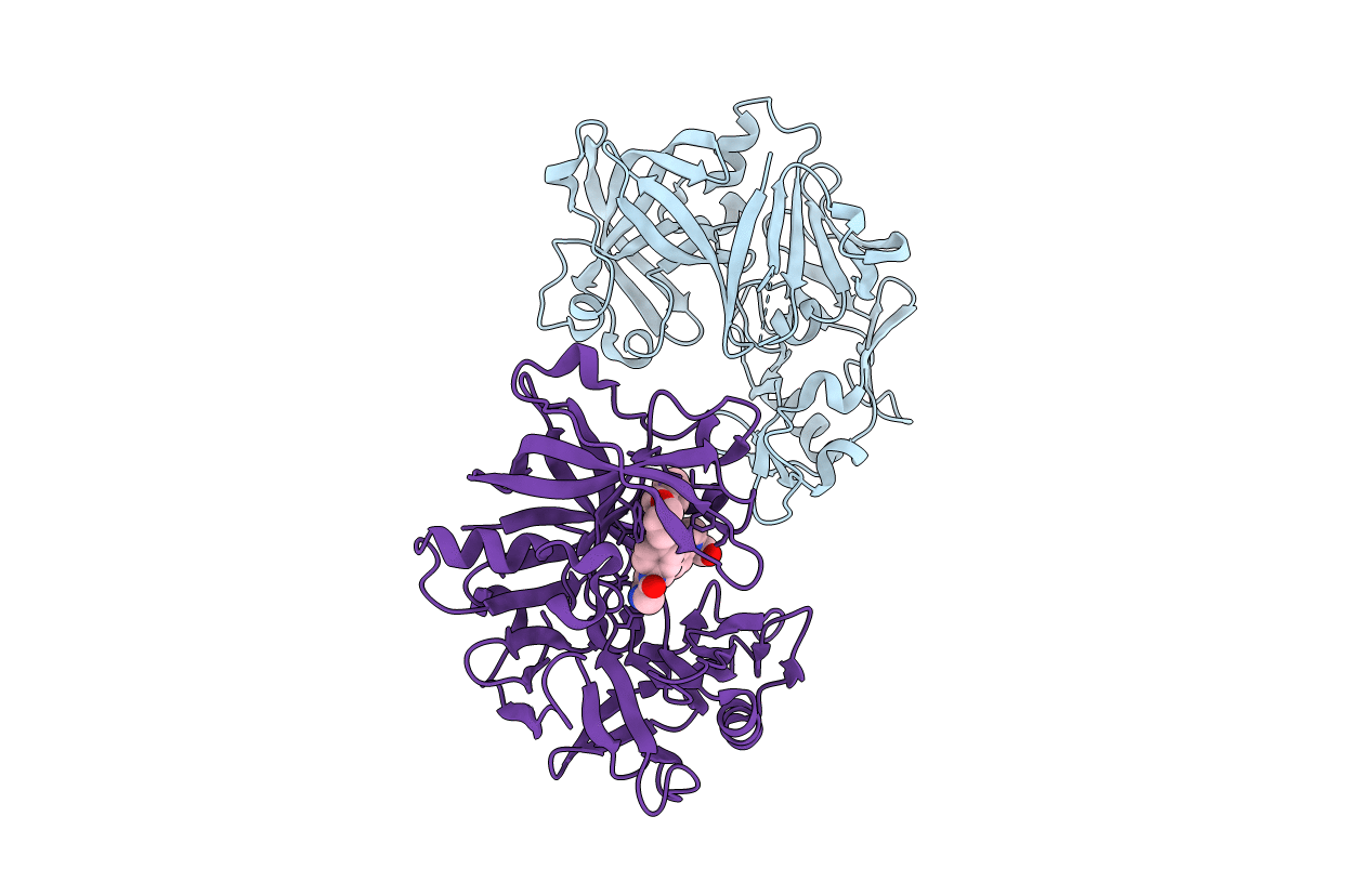 2G26 image