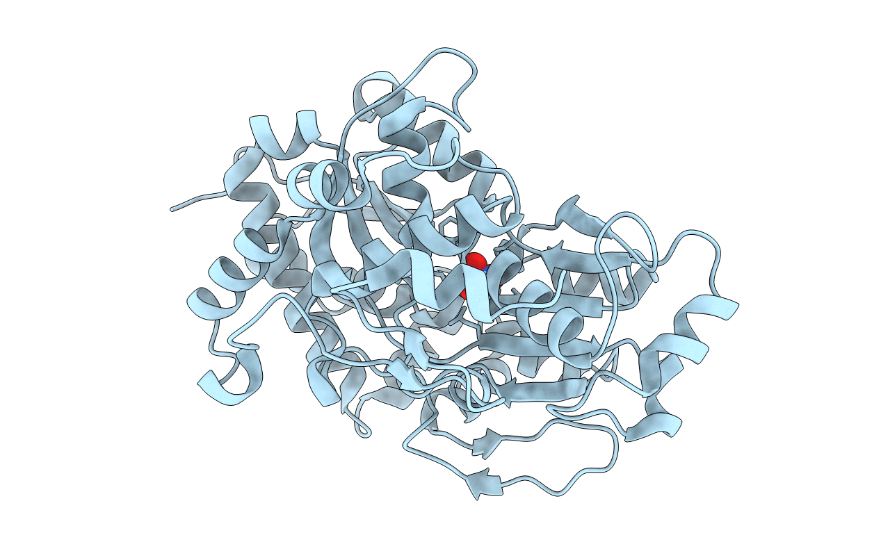 2G29 image