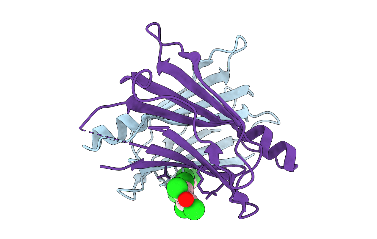 2G5U image