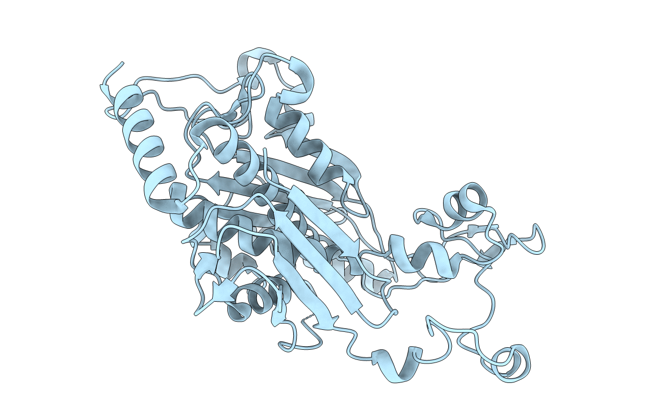 2G85 image