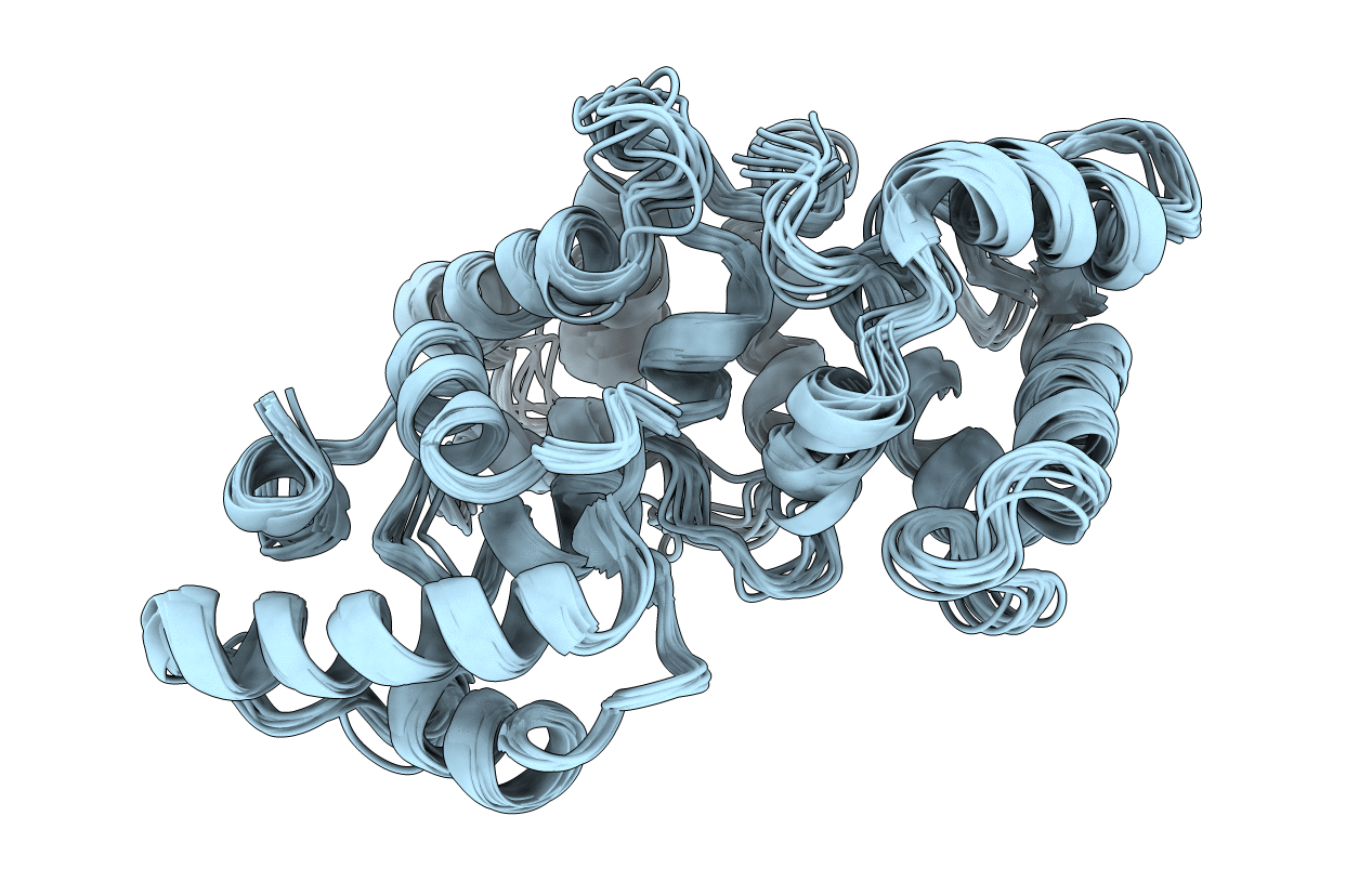 2G9B image