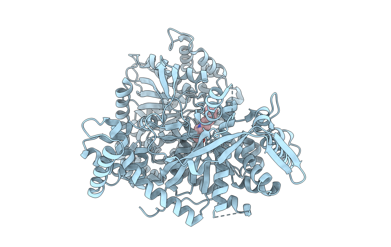 2G9R image