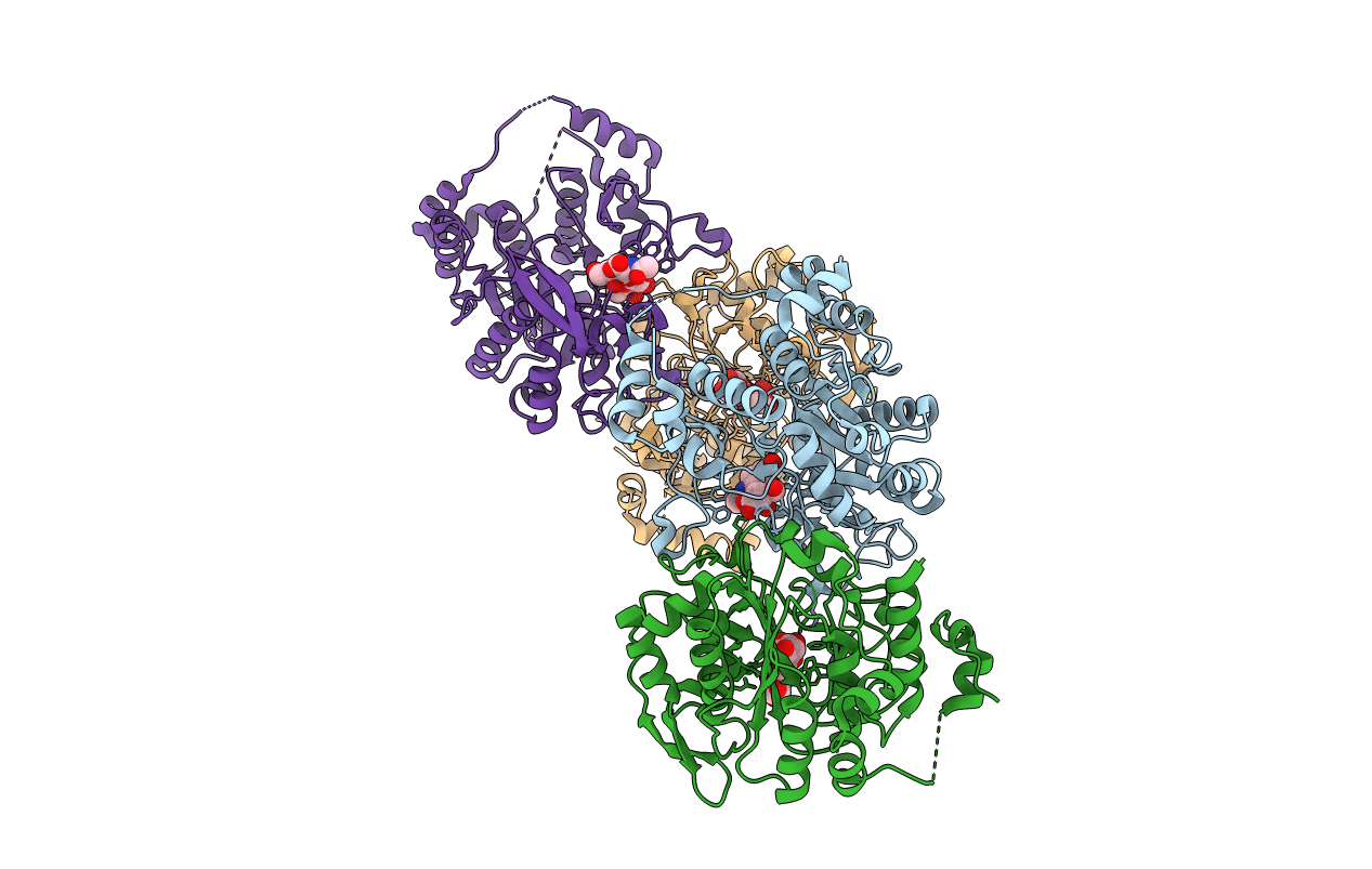 2GAM image