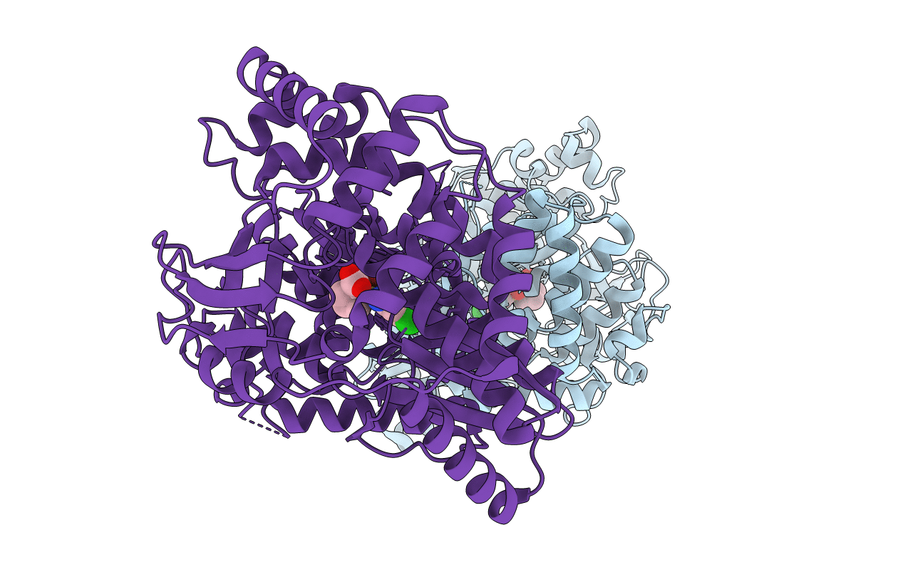 2GC8 image