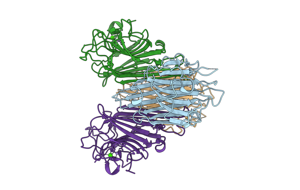 2GDF image