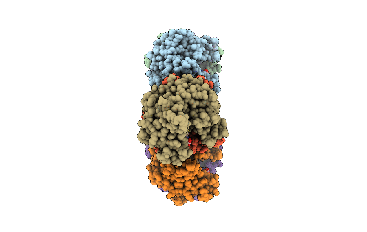 2GDR image