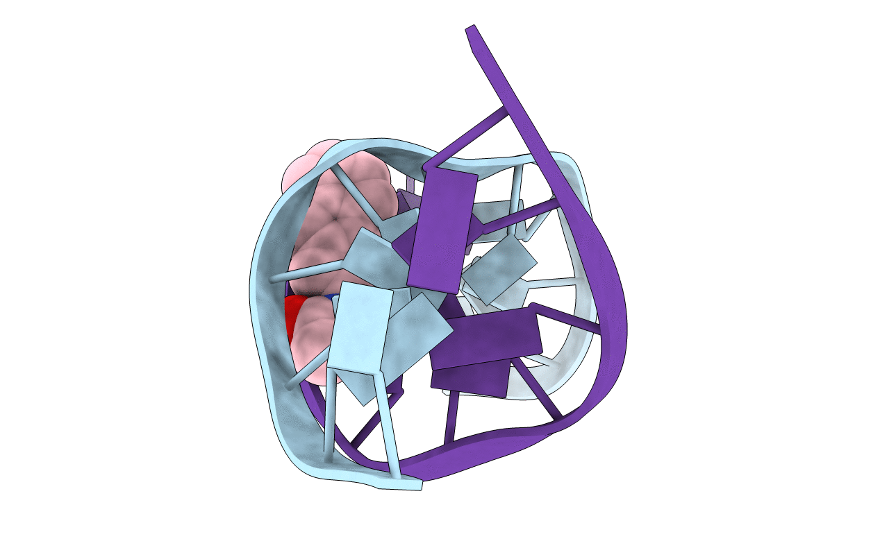 2GE2 image
