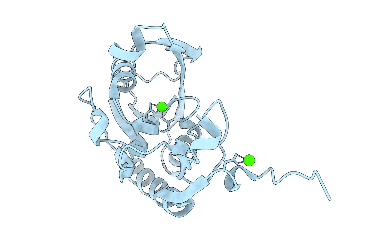 2GEB image