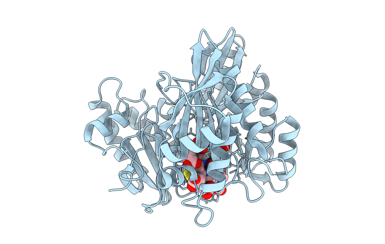 2GEP image