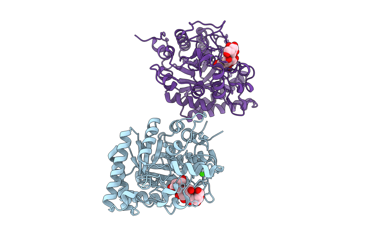 2GFT image