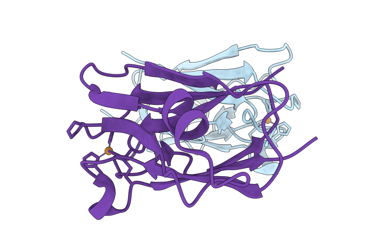 2GIM image