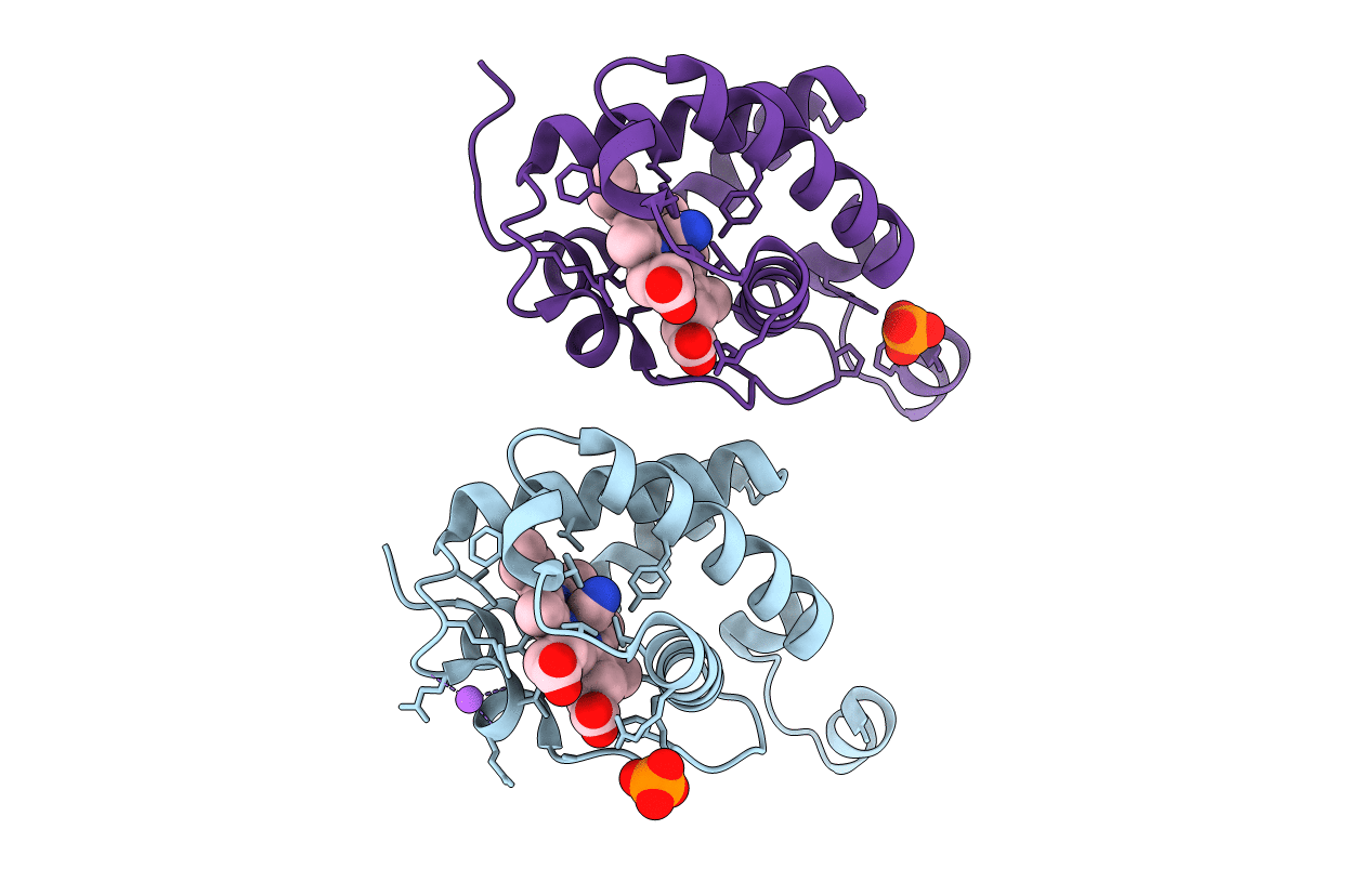 2GLN image