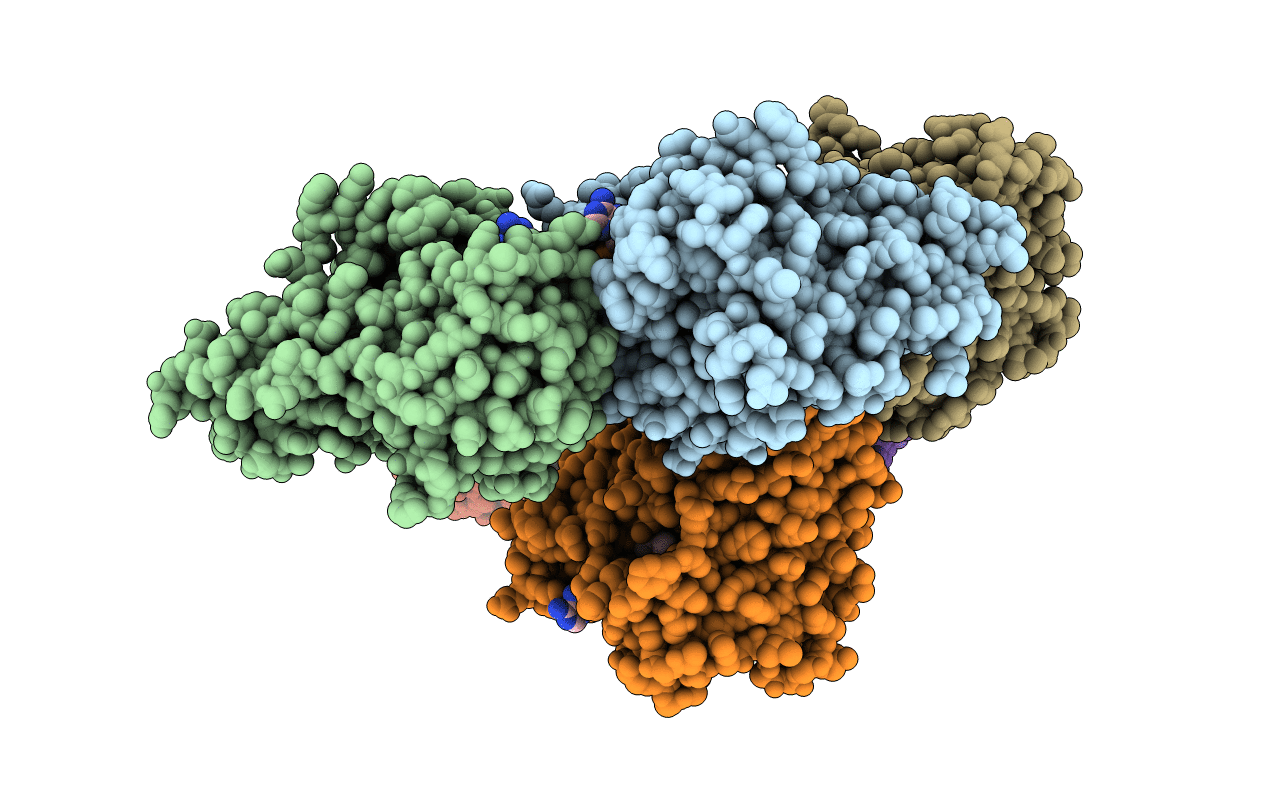 2GLX image