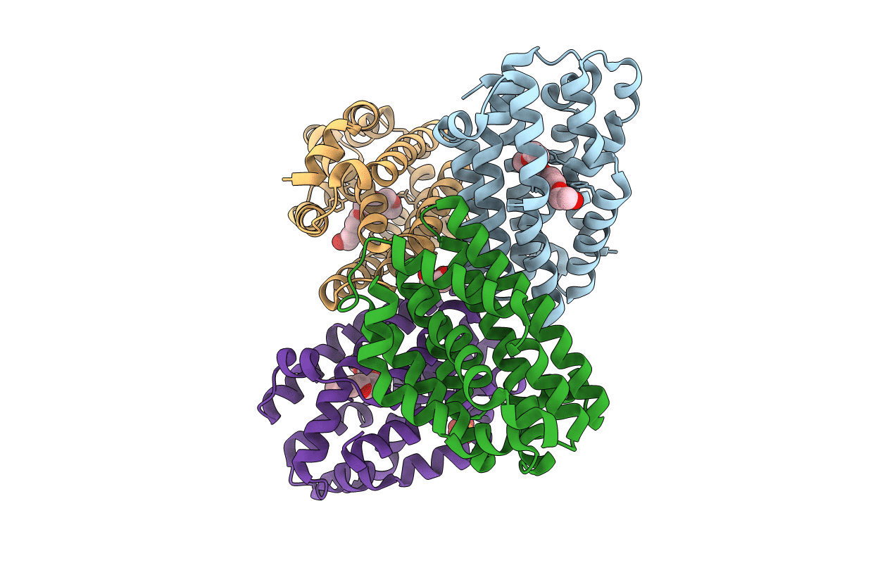 2gm7 image