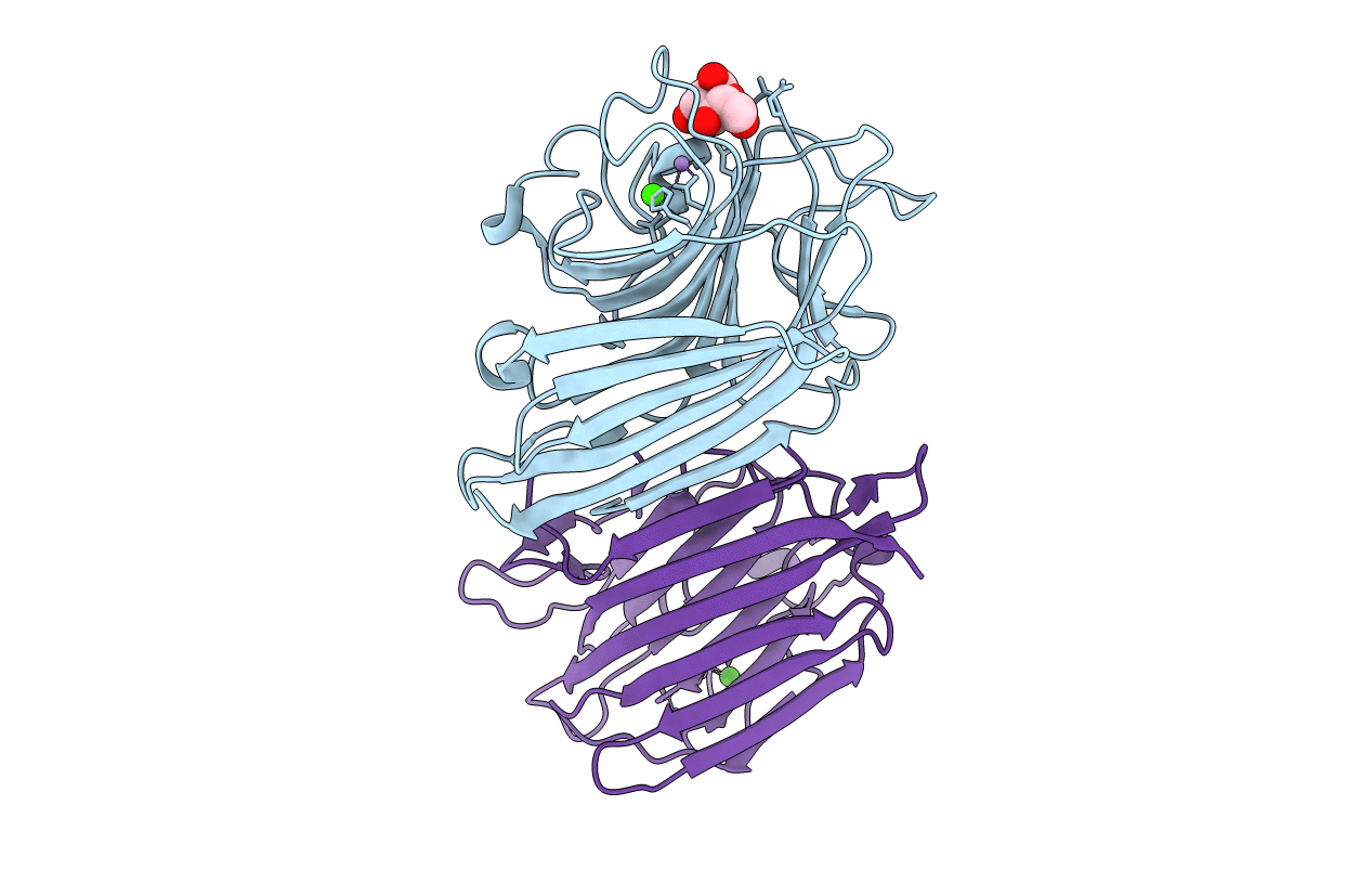 2GNM image