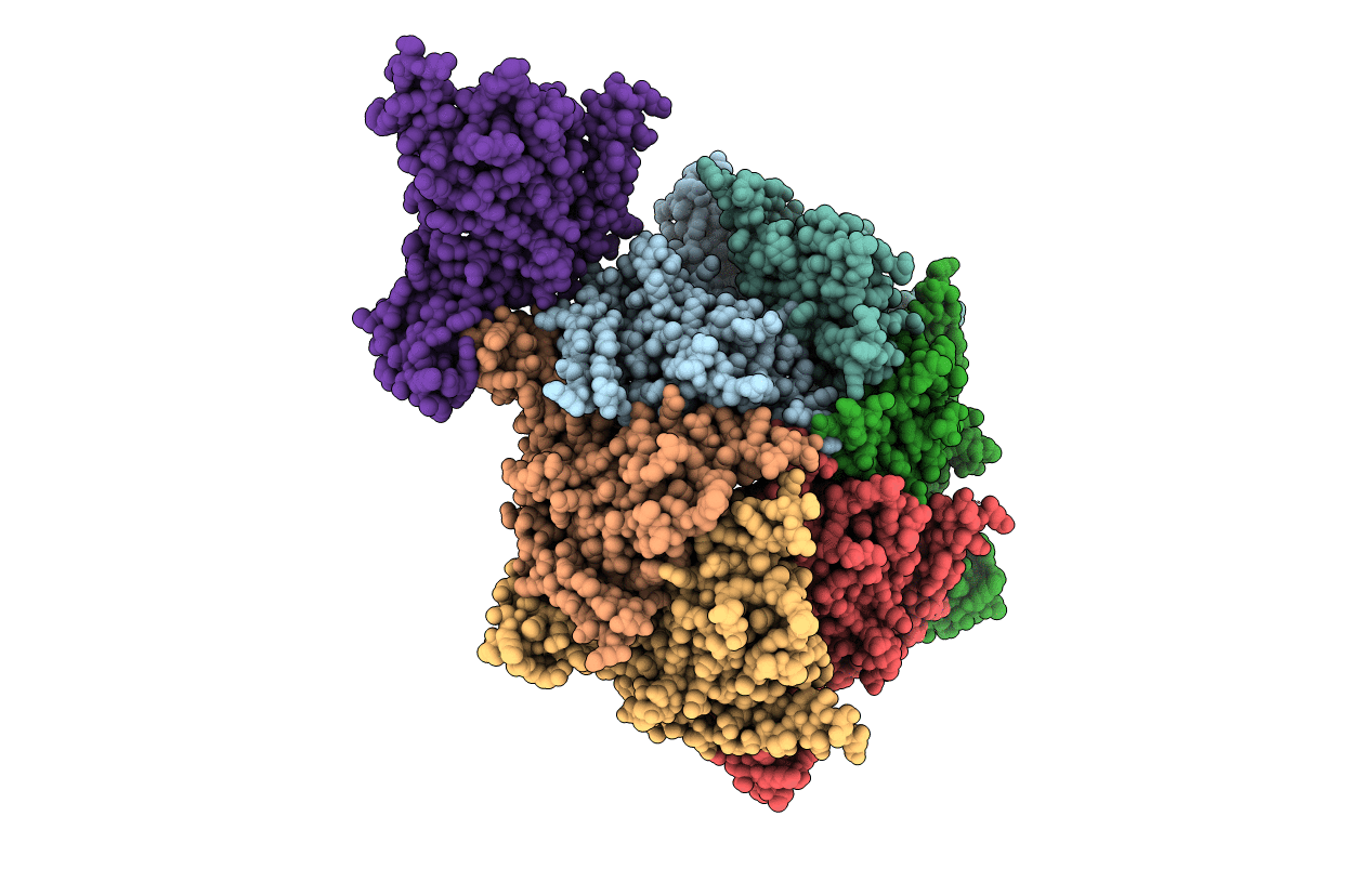 2GP1 image