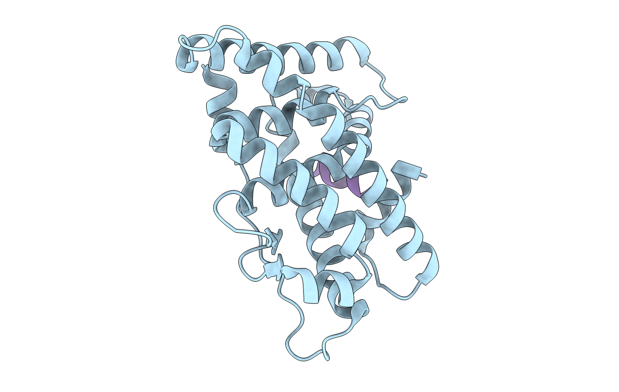 2GPO image