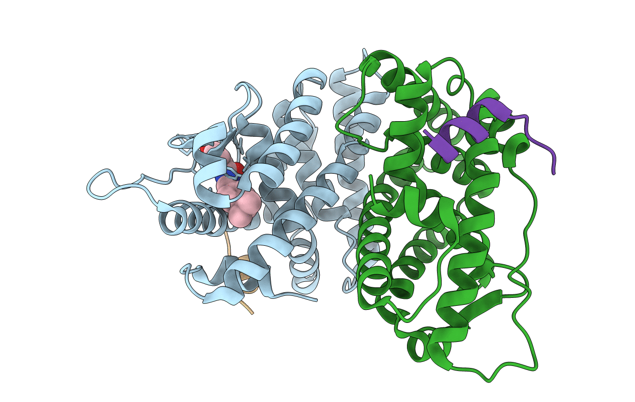 2GPP image