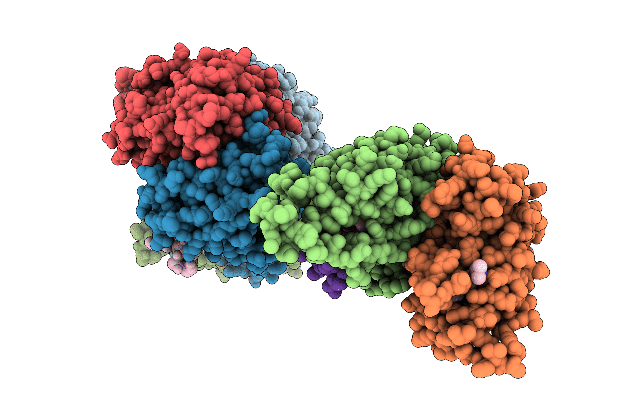 2GPV image