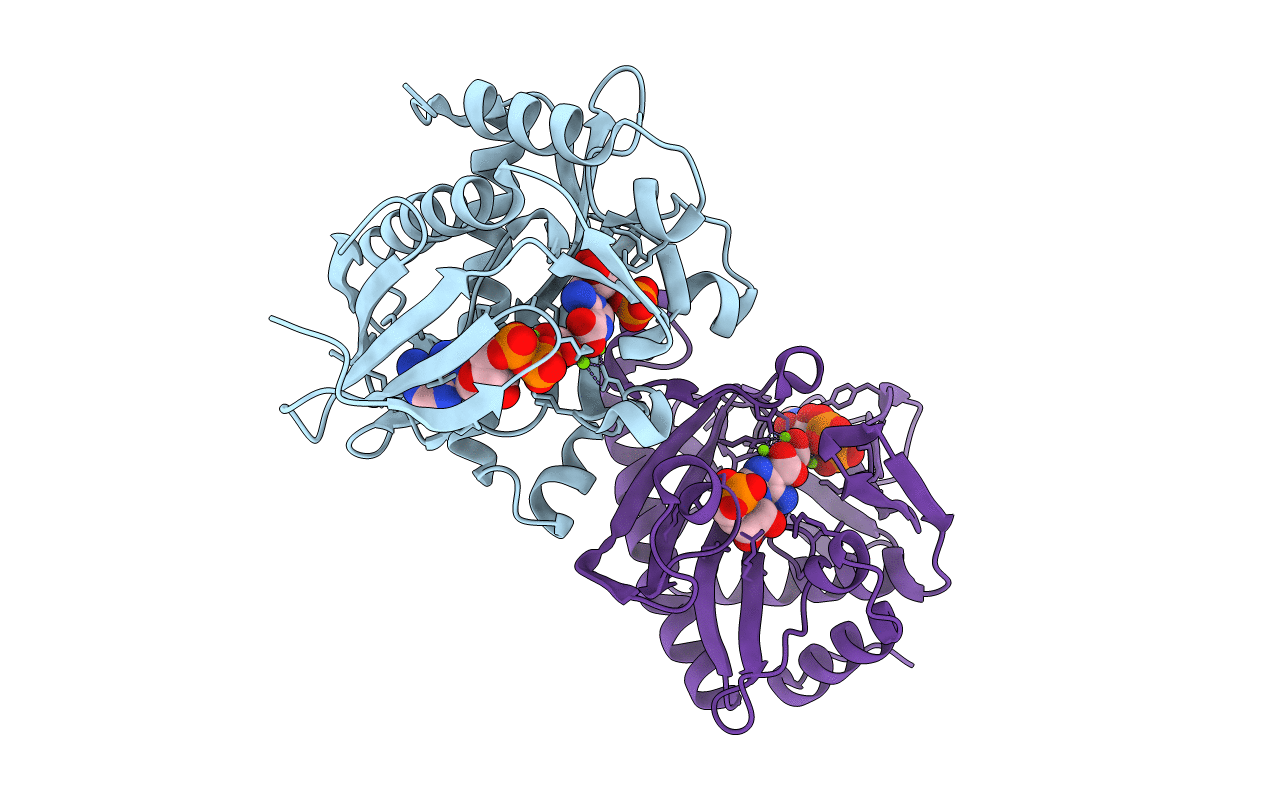 2GQS image