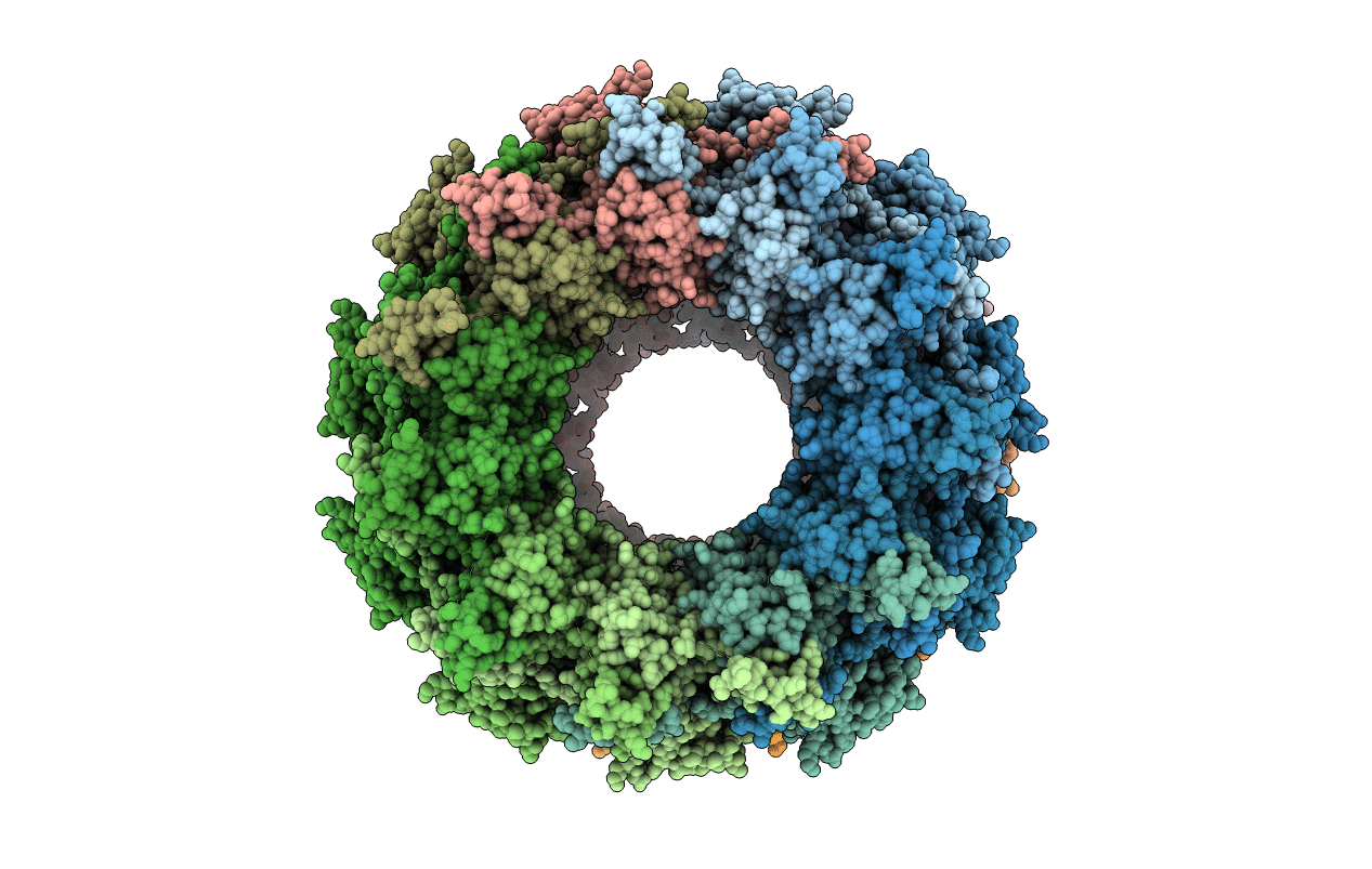 2GTT image
