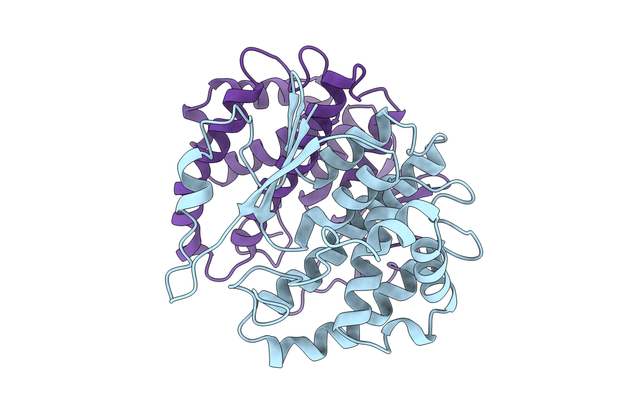 2GTU image