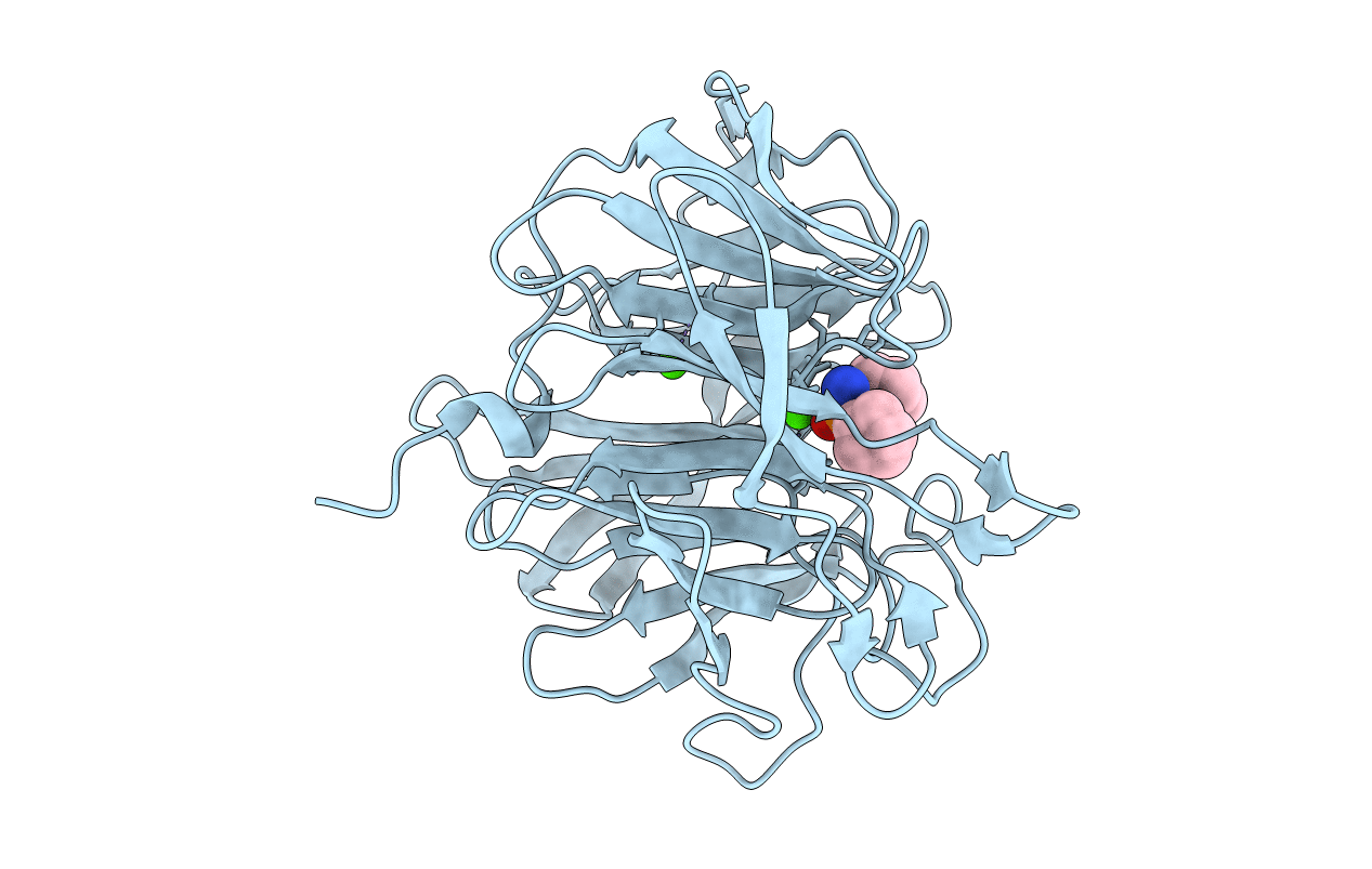 2GVV image
