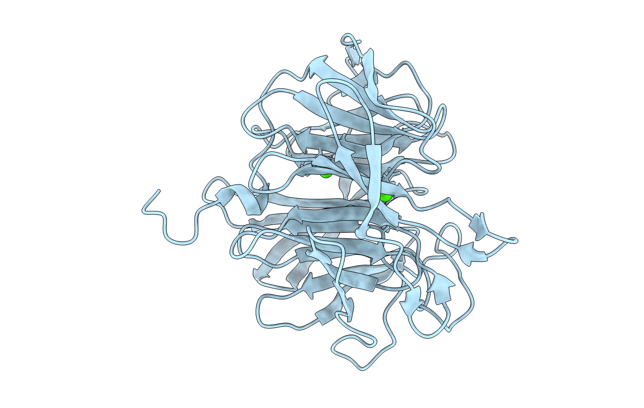 2GVW image