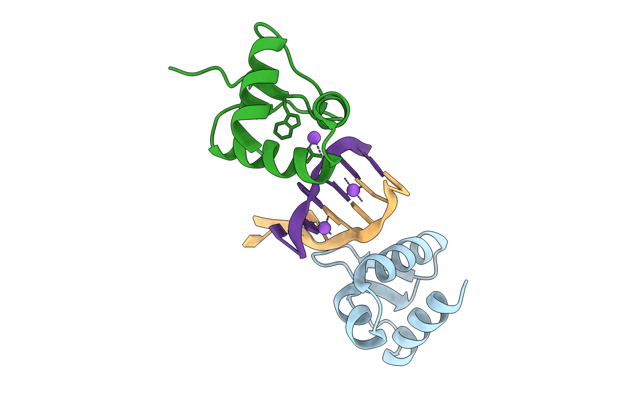 2GXB image