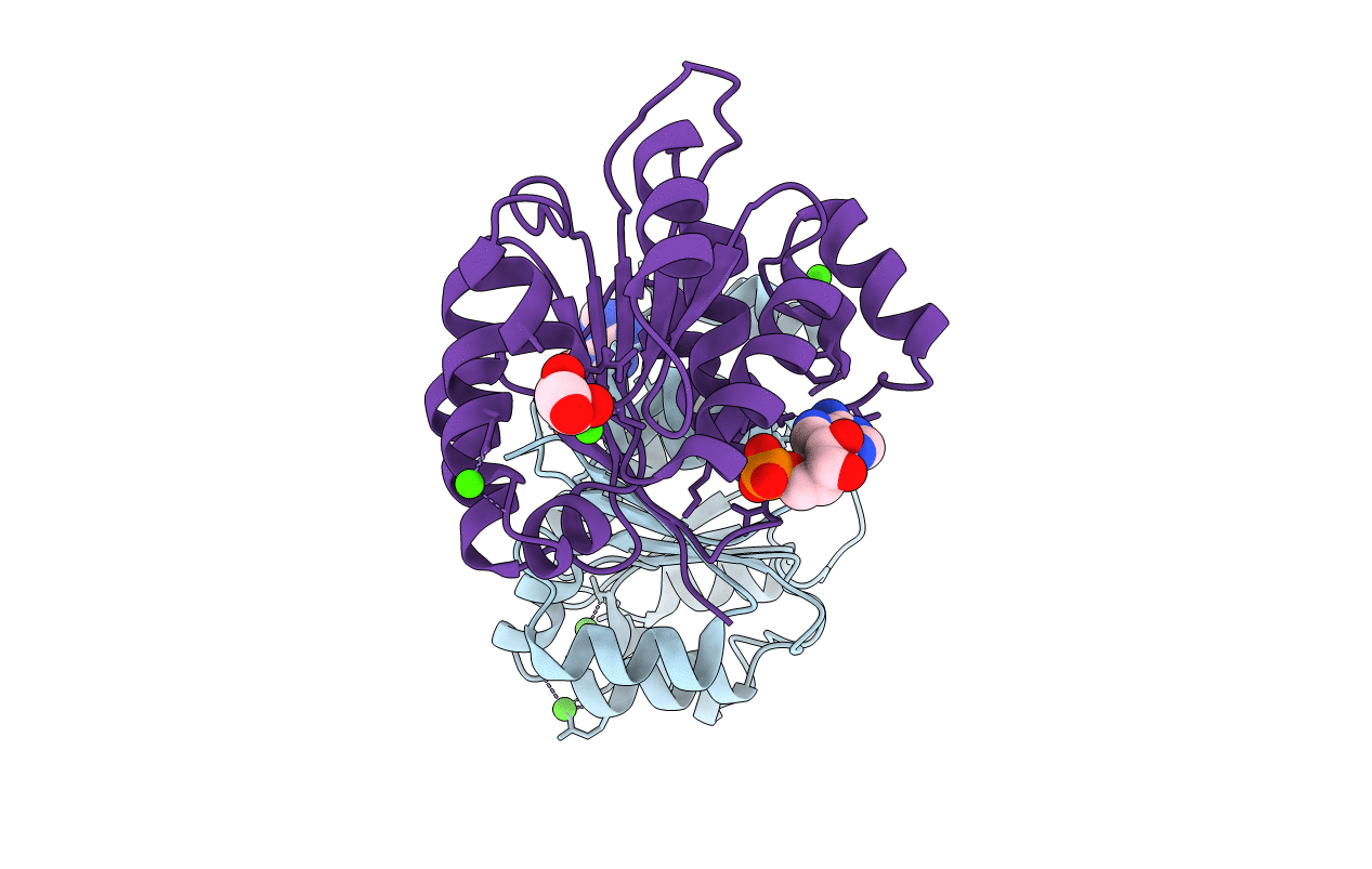 2GXS image