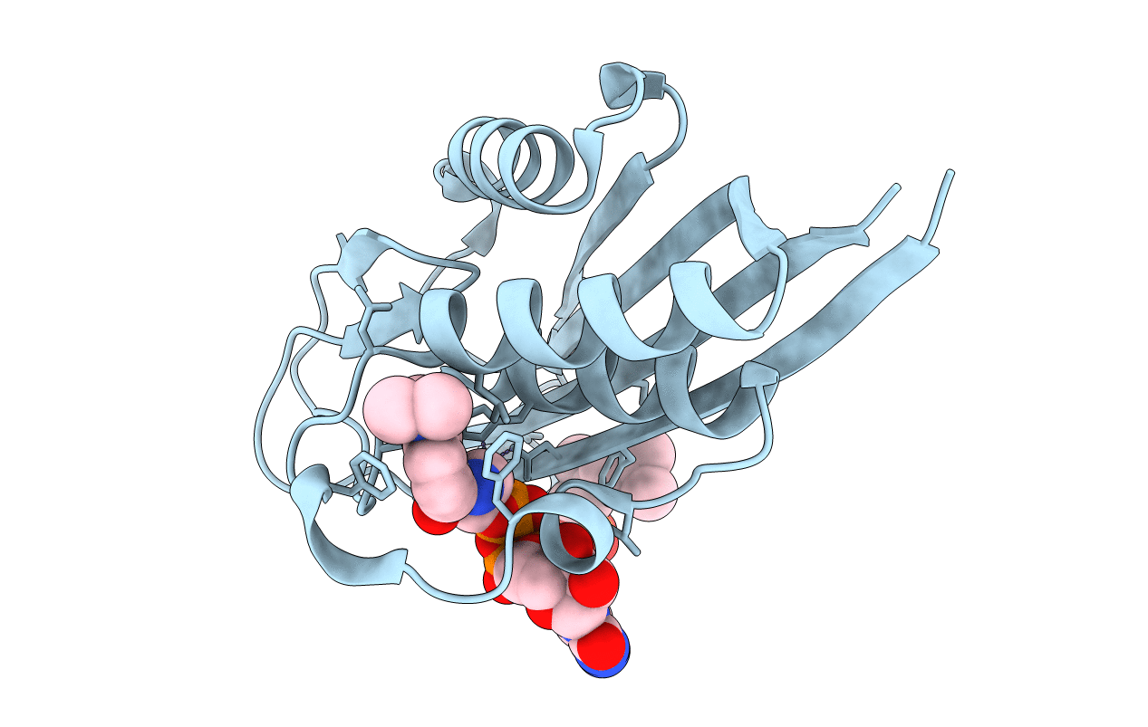 2GZL image