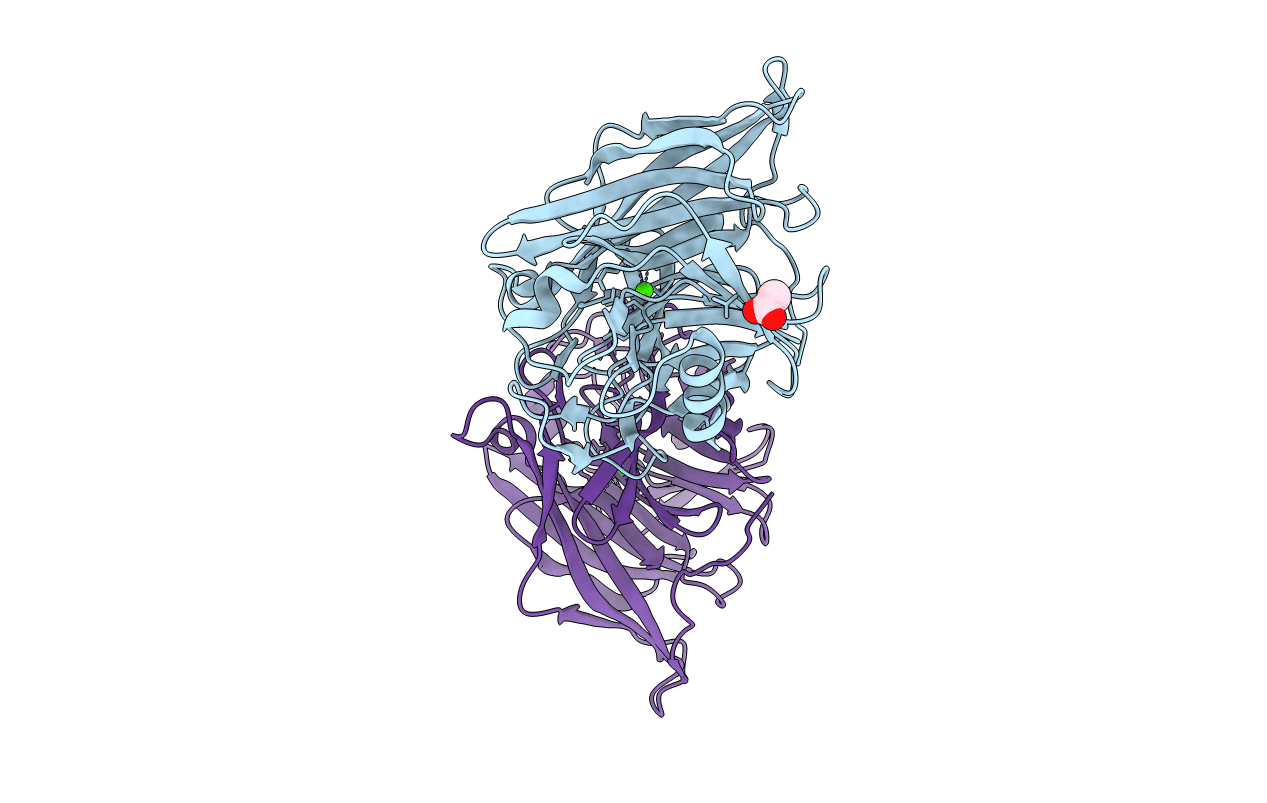 2H2N image