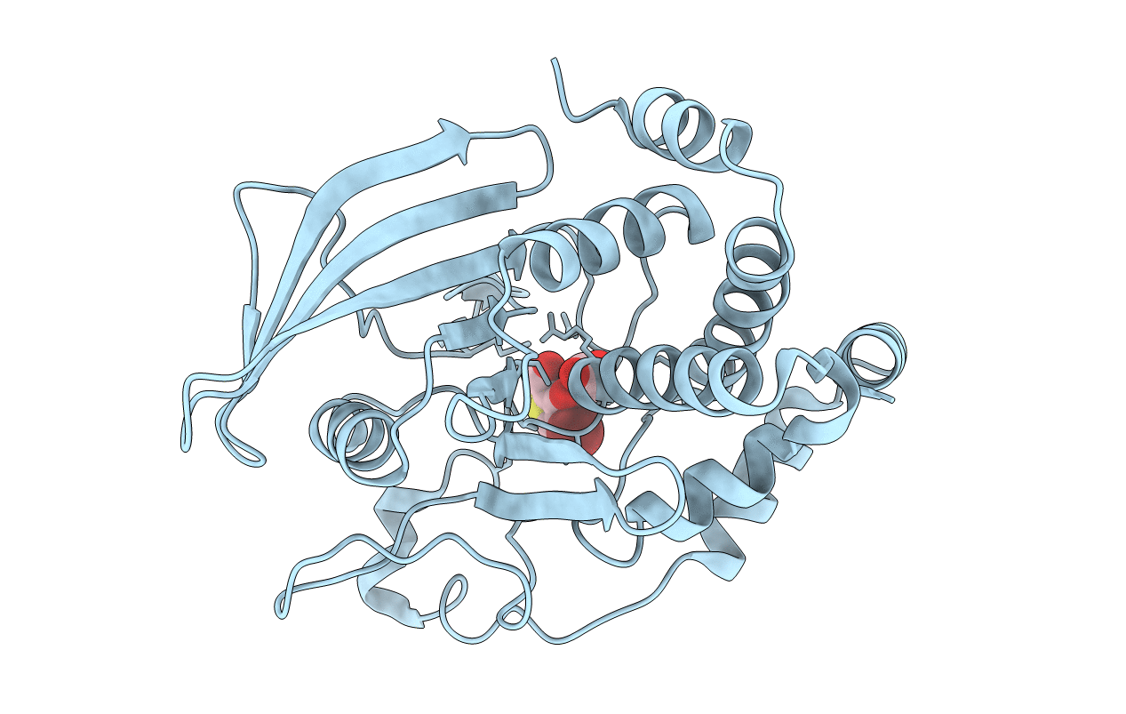 2HB1 image