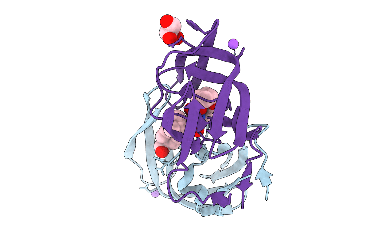 2HB3 image