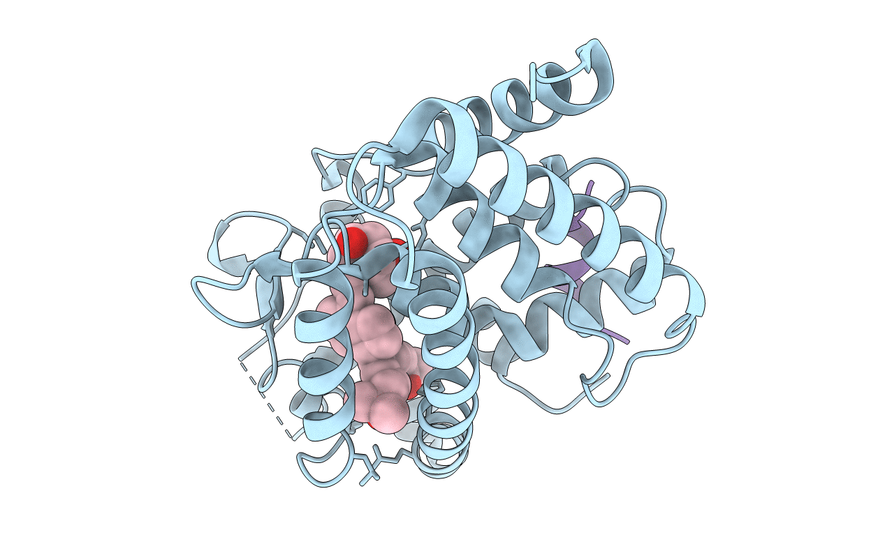 2HCD image