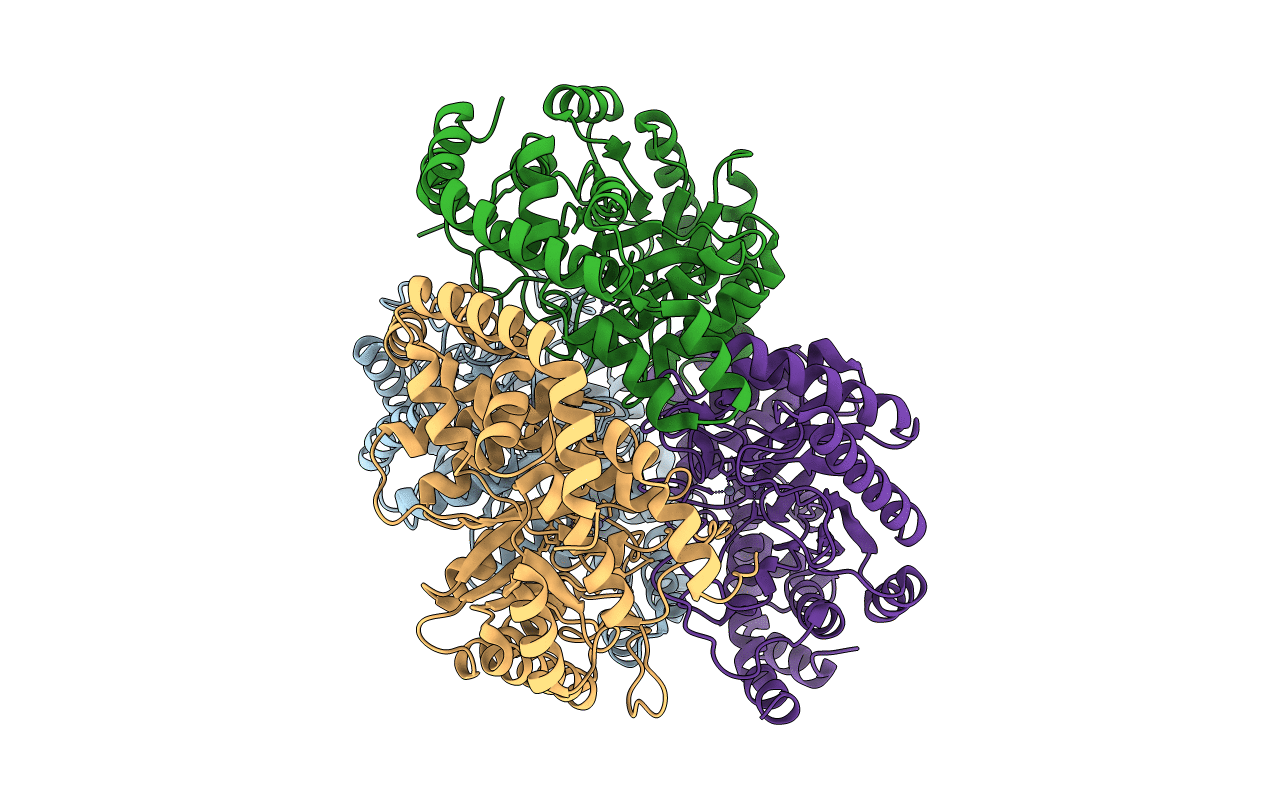 2HCV image