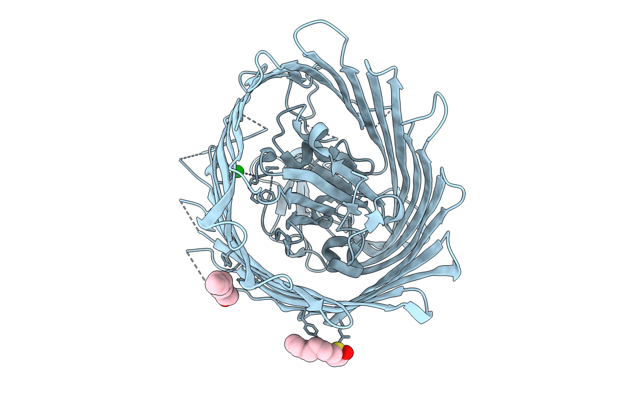 2HDF image