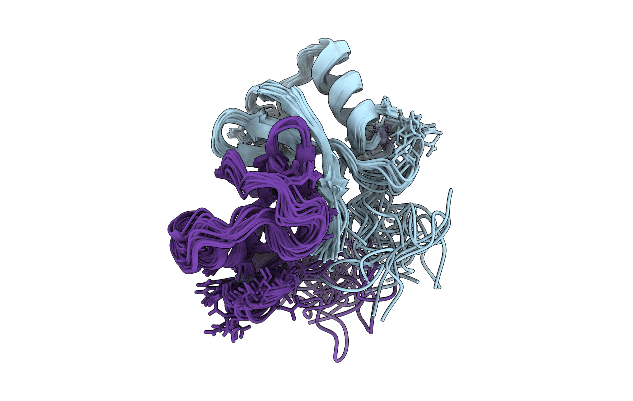 2HDP image