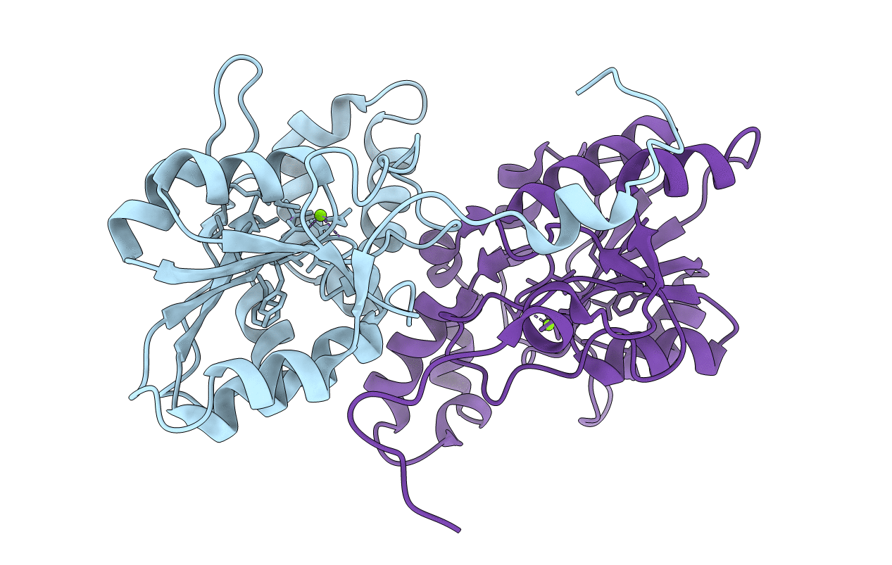 2HEG image