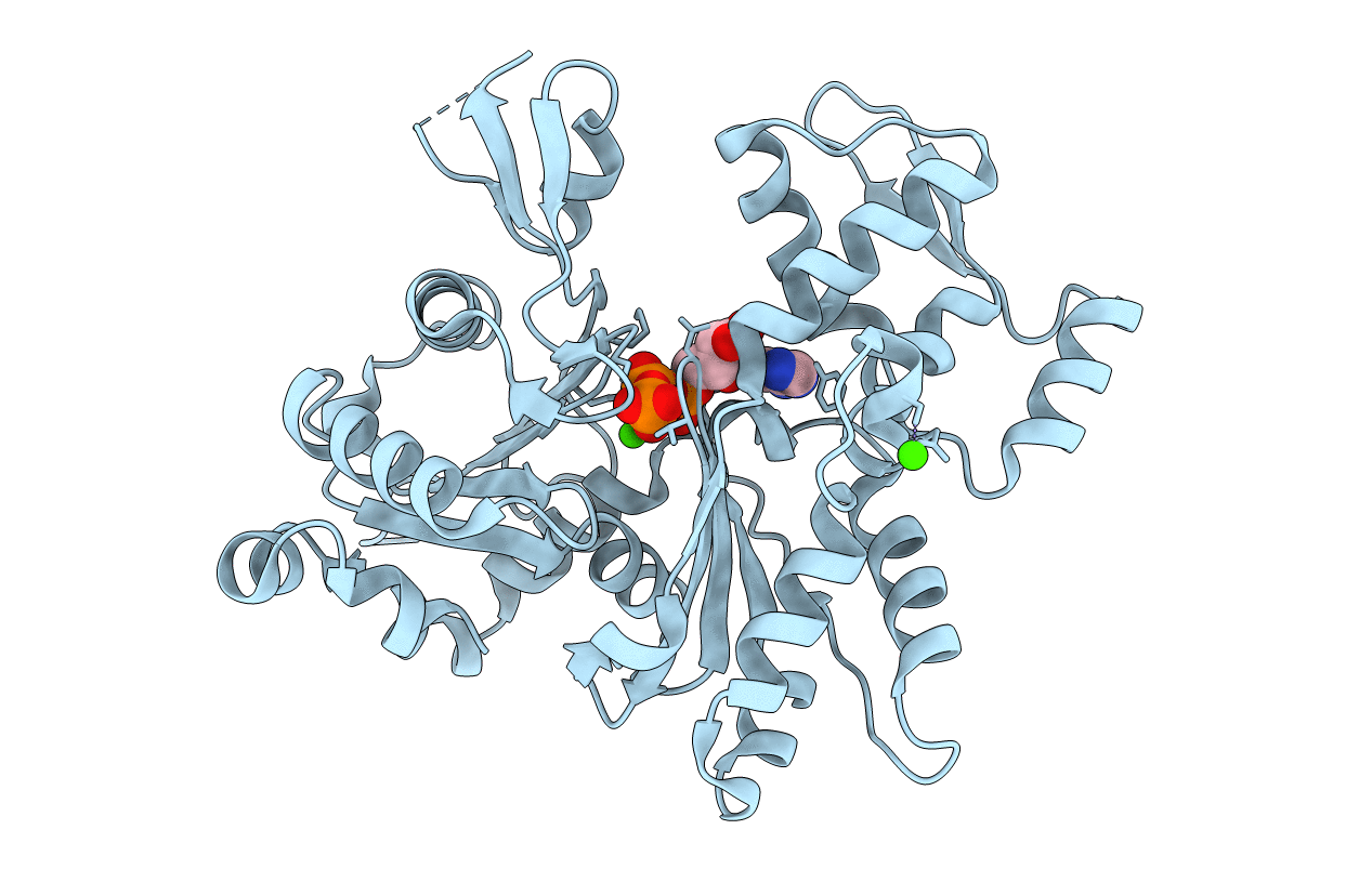 2HF4 image