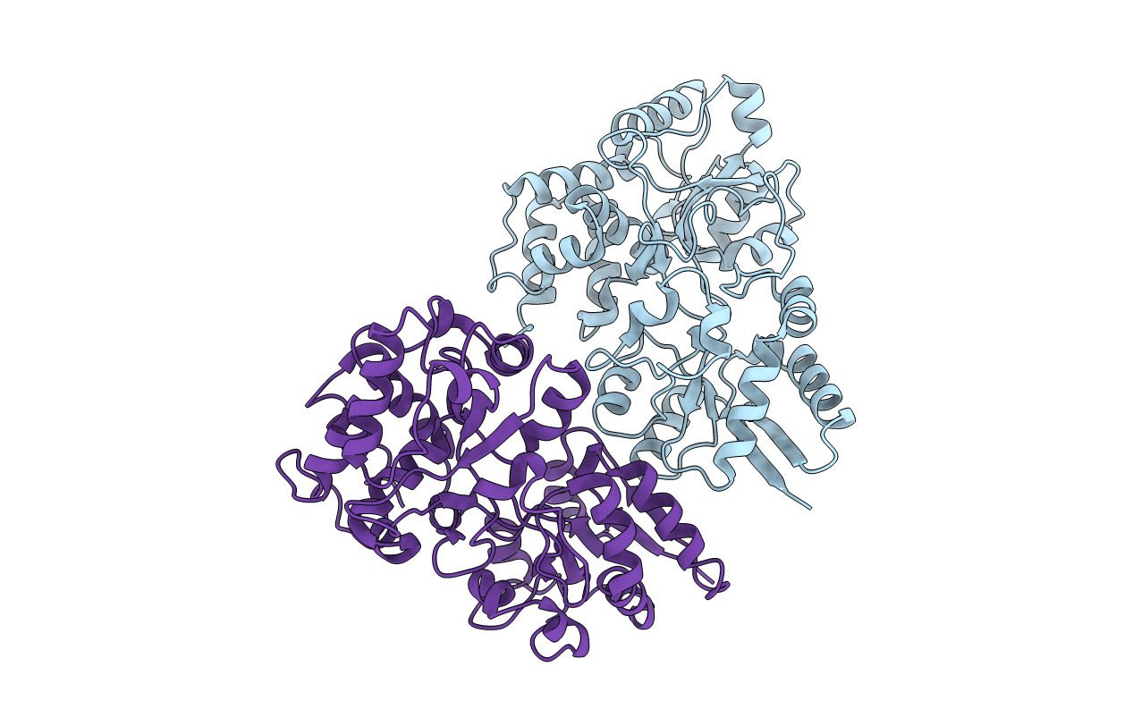 2HFB image