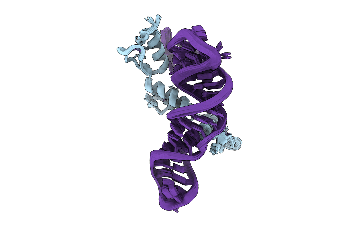 2HGH image