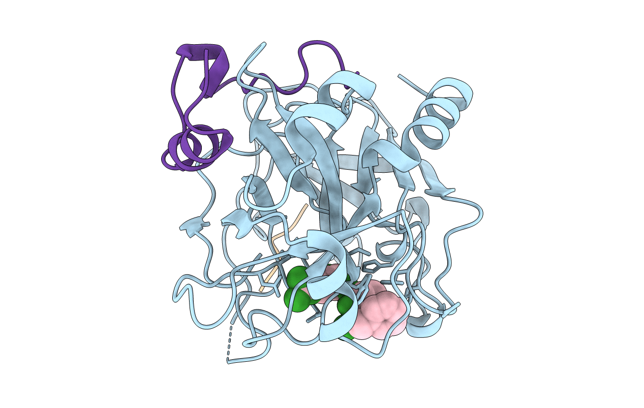 2HGT image