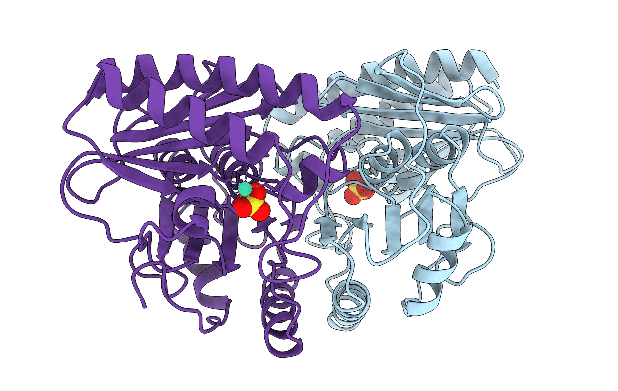 2HHM image