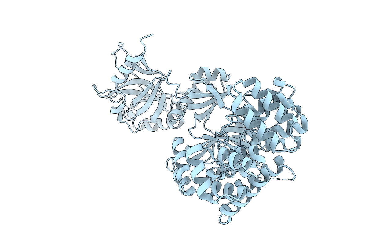 2HIV image