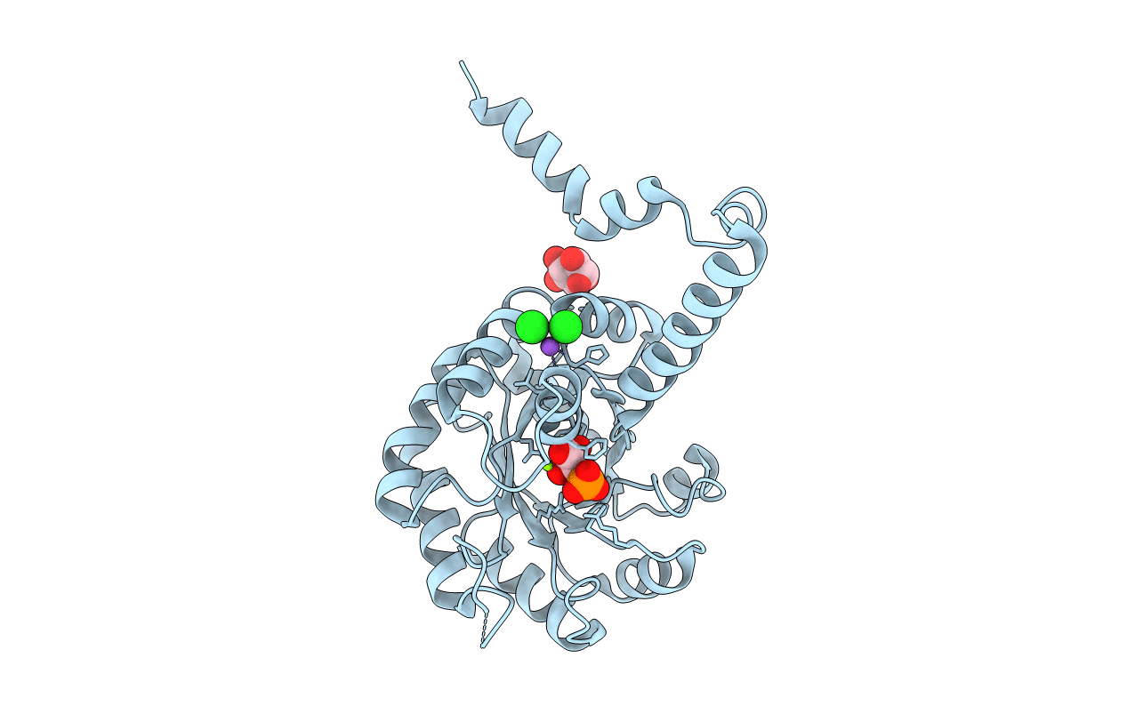 2HJP image