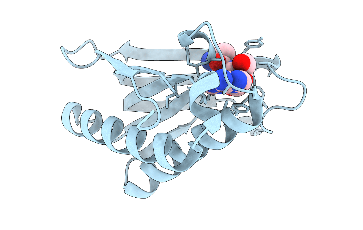 2HL0 image